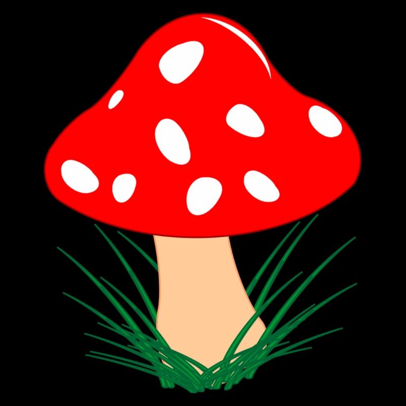 Champignon rouge avec des points blancs Automne