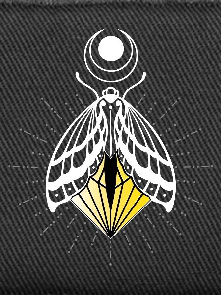 Firefly Moth Moth Moth