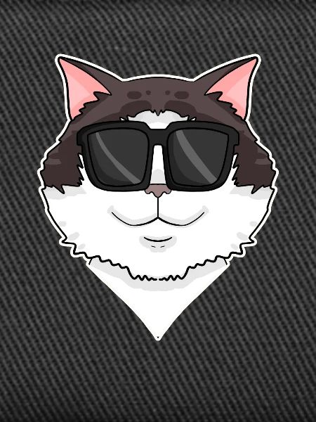 Ragdoll Cat