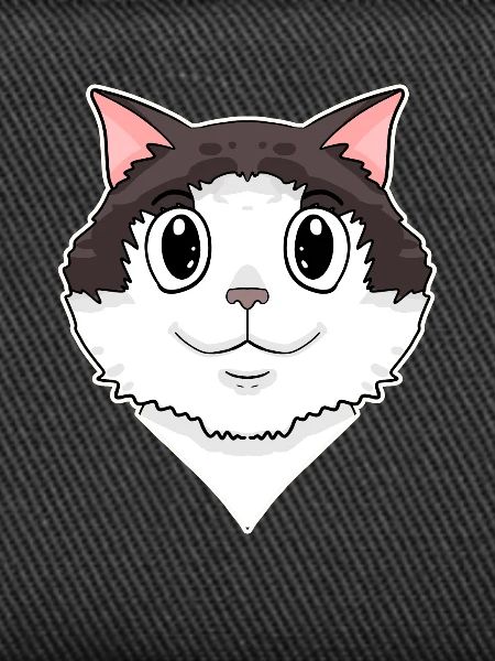 Ragdoll Cat
