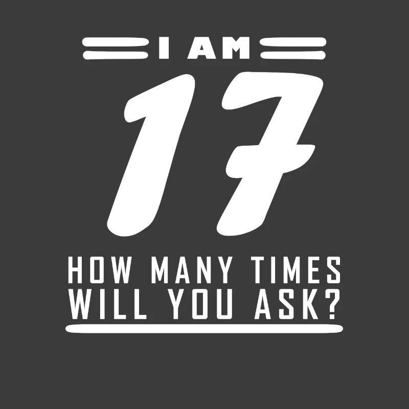 Ich bin 17 – 17. Geburtstag Geschenk