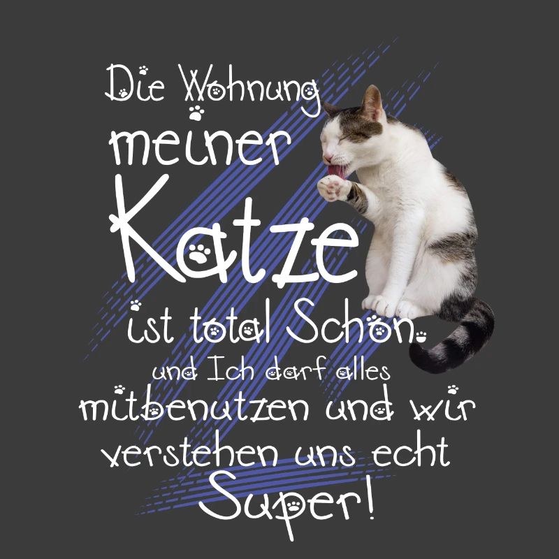 Katzen Wohnung