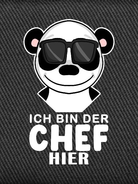 Cool Panda Chef