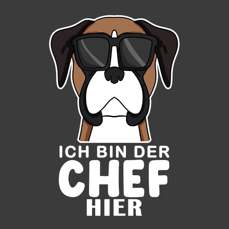 Hund Deutscher Boxer Cool Chef