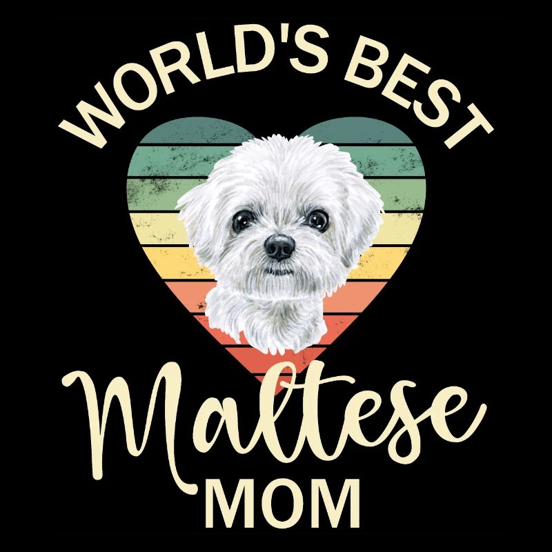 Maltese Dog
