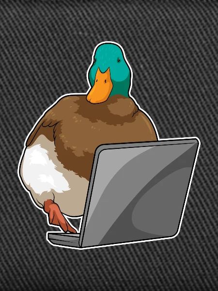 Duck Laptop