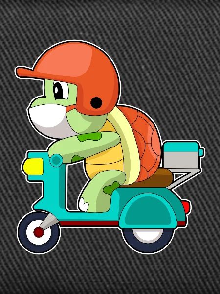 Turtle Scooter