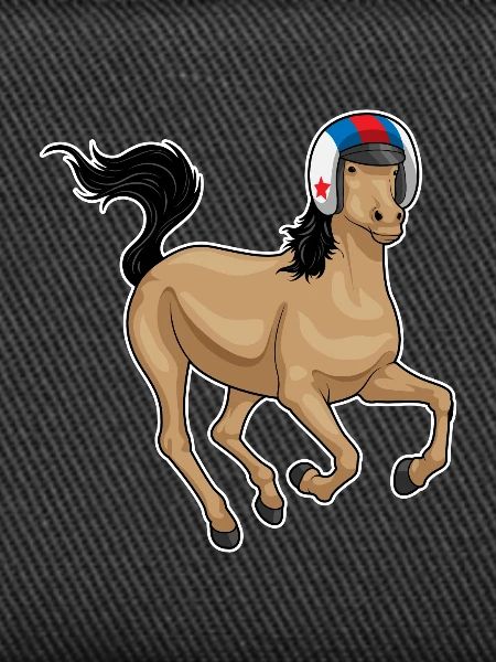 Pferd Pferderennen
