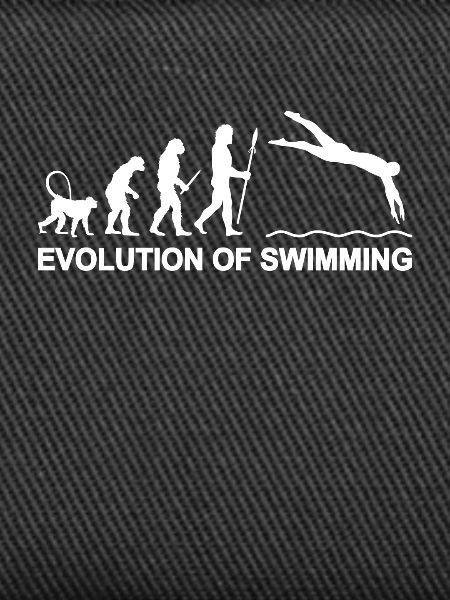 Evolution of Swimming