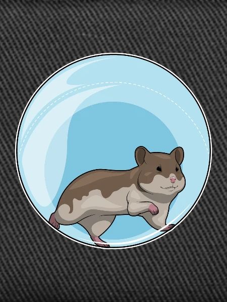 Hamster Hamster Ball