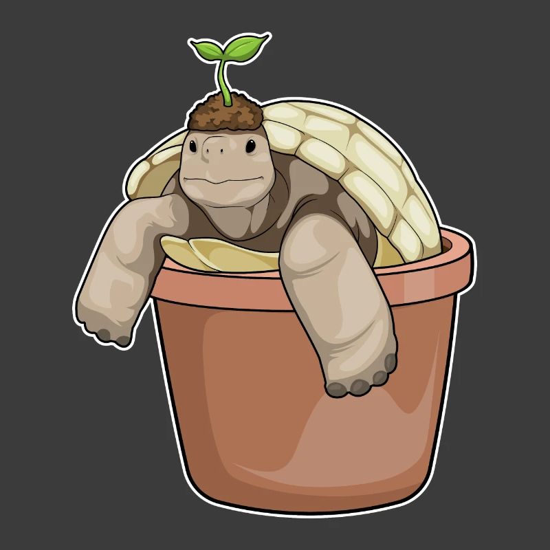 Plante en pot de fleurs de tortue
