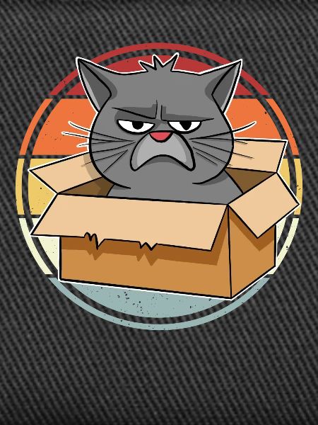 Cat in a box