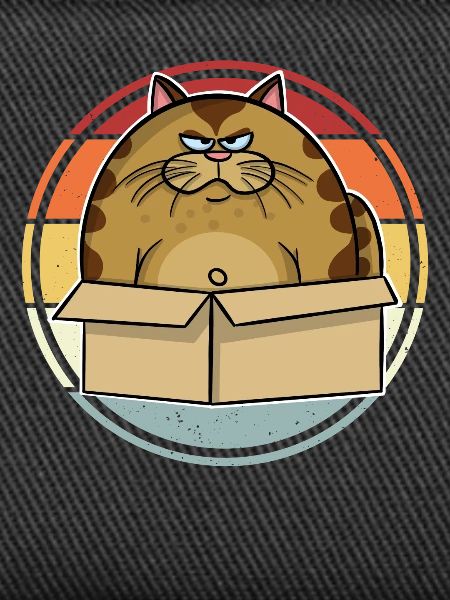 Dicke Katze Im Karton