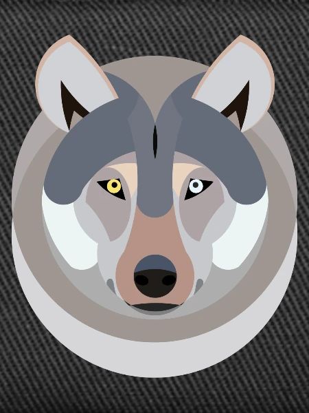 Wolf as a graphic