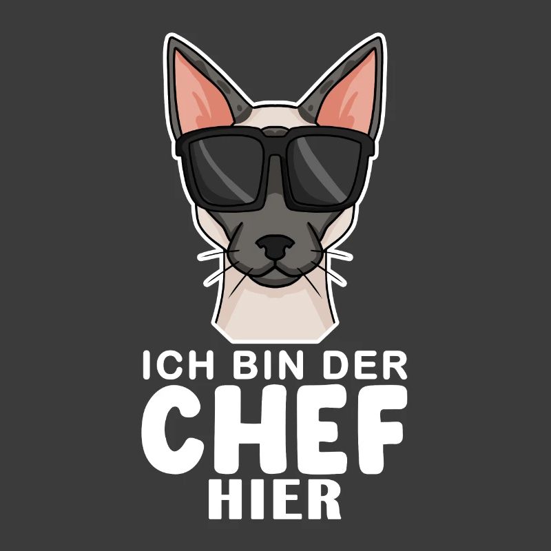 coole Katze - Siamkatze Spruch