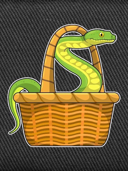 Snake basket