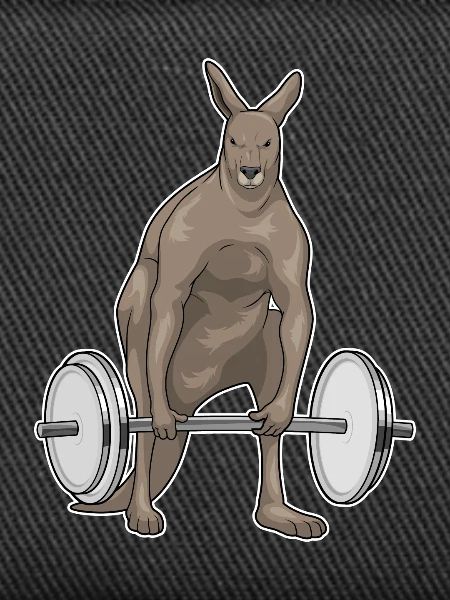 Kangaroo Bodybuilder Barbell Bodybuilding