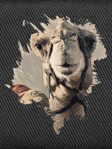 Camel