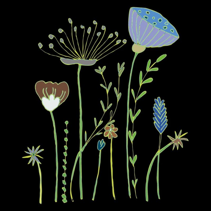 fleurs séchées prairie fleurie