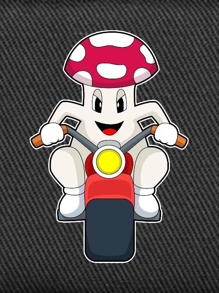 Pilz Motorcycle