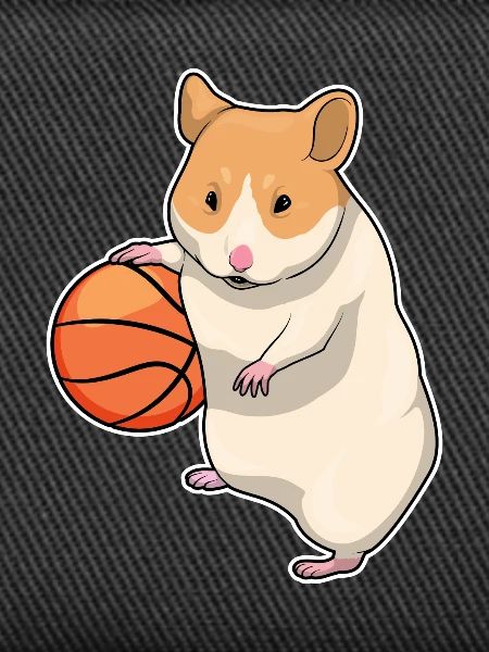 Hamster Basketteur Basketteur