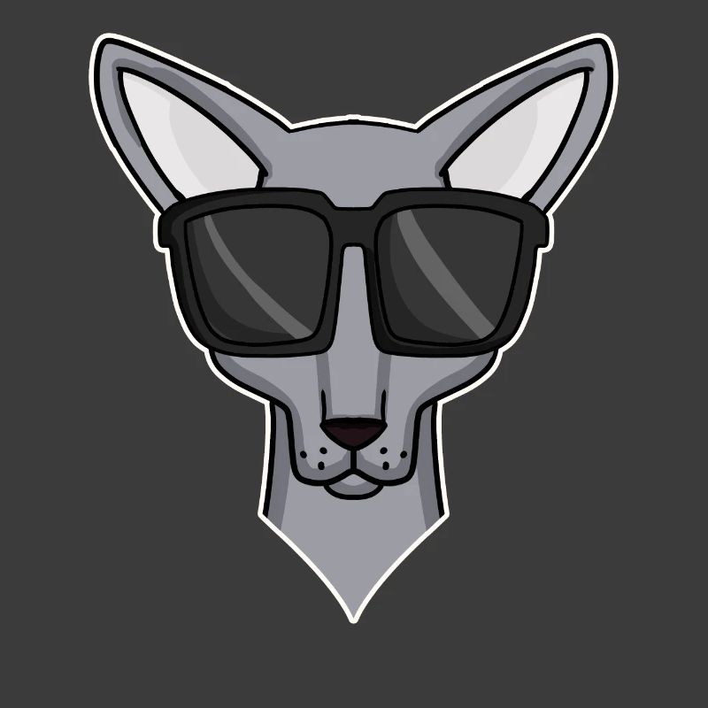 chat cool avec des lunettes de soleil - race de chat Sphynx