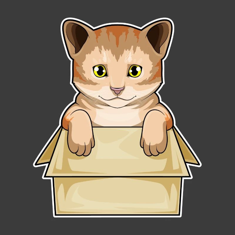 Katze Karton