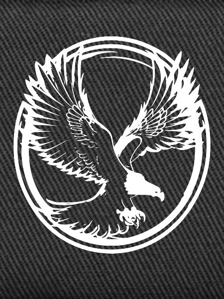 Strong eagle silhouette