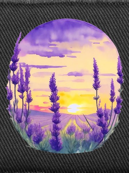 Lavender field