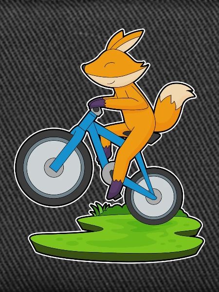 Vélo Fuchs