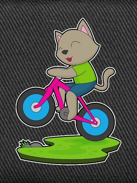 Vélo chat