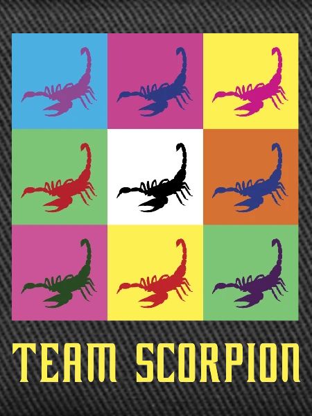 Team Skorpion