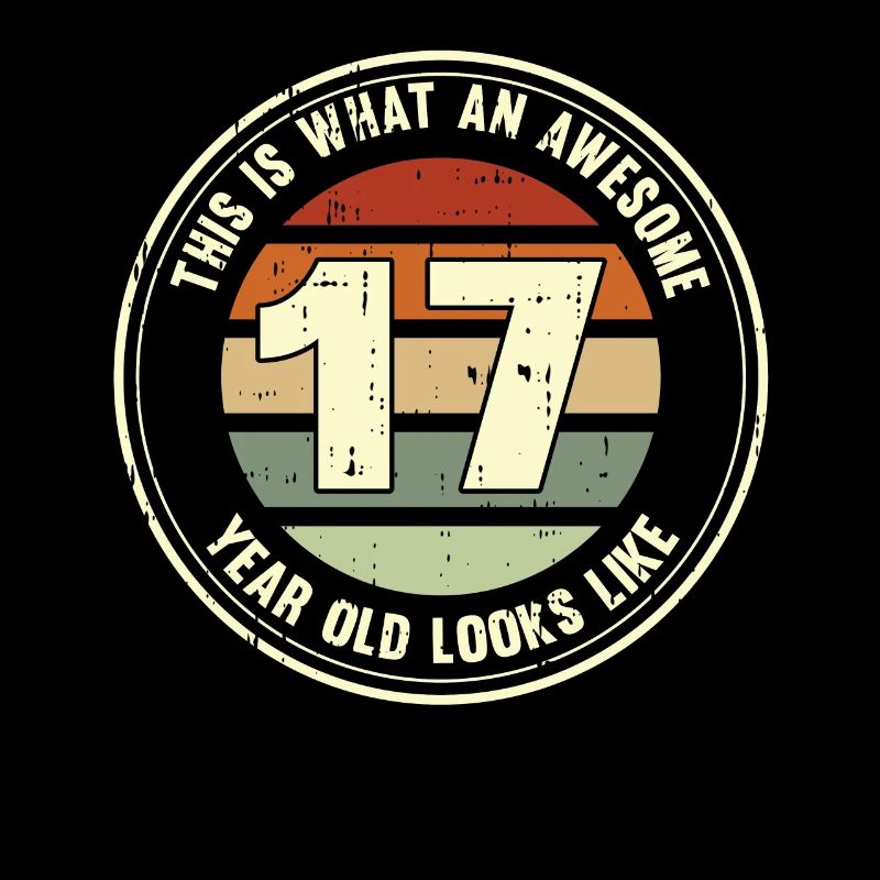 17. Geburtstag so sieht man mit 17 Retro Geschenk