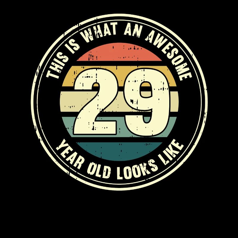 29. Geburtstag so sieht man mit 29 Retro Geschenk