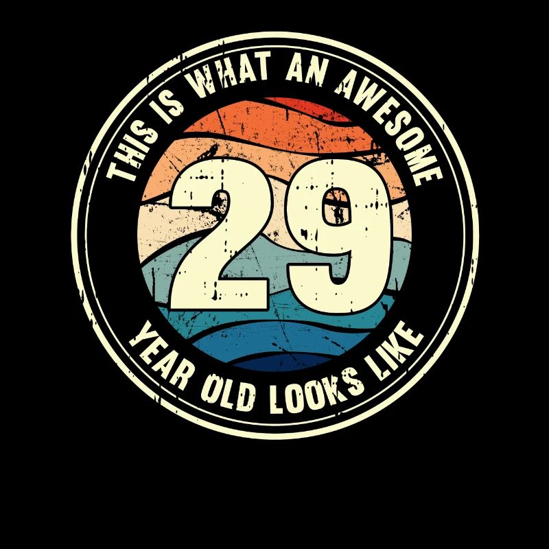 29. Geburtstag so sieht man mit 29 Retro Geschenk