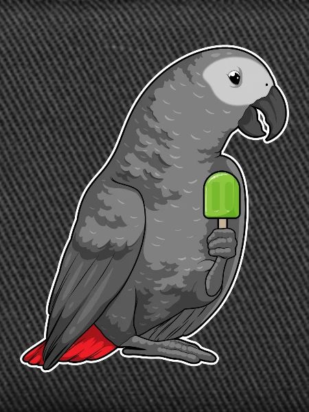 Perroquet Popsicle