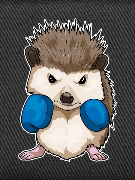 Igel Boxer Boxhandschuhe Boxen