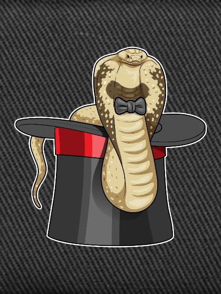 Snake Wizard Cylinder