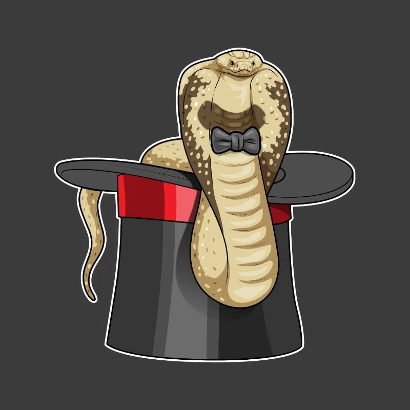 Cylindre Snake Wizard