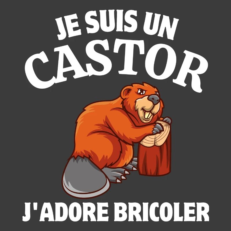 bricoler, bricolage, bricoleur