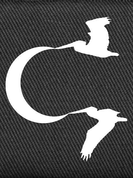 Birds and the Moon