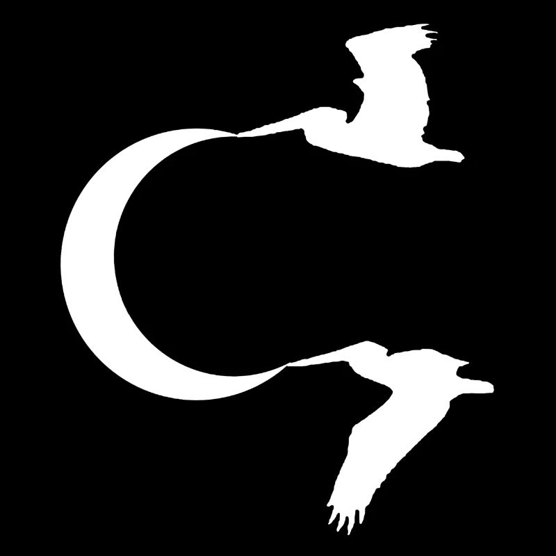 Les oiseaux et la lune