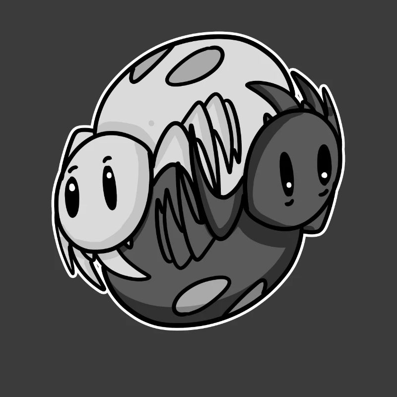 Yin Yang Spider