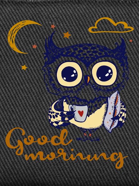 good morning, owl