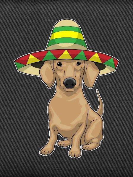 Sombrero teckel