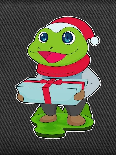 Frog Christmas Package