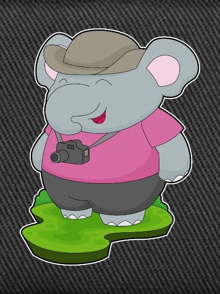 Elephant Photographer Camera