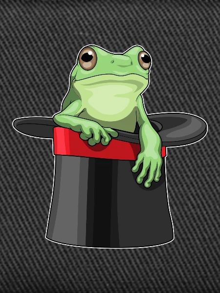 Frog Wizard Top Hat