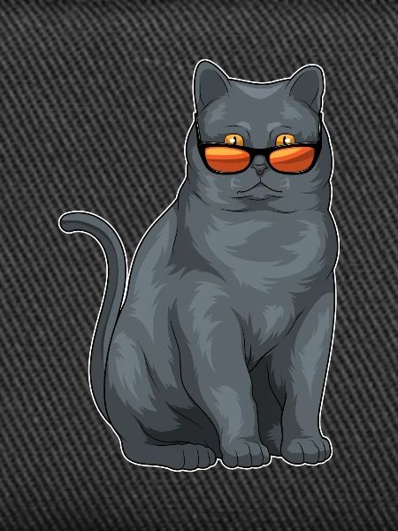 British Shorthair Sunglasses