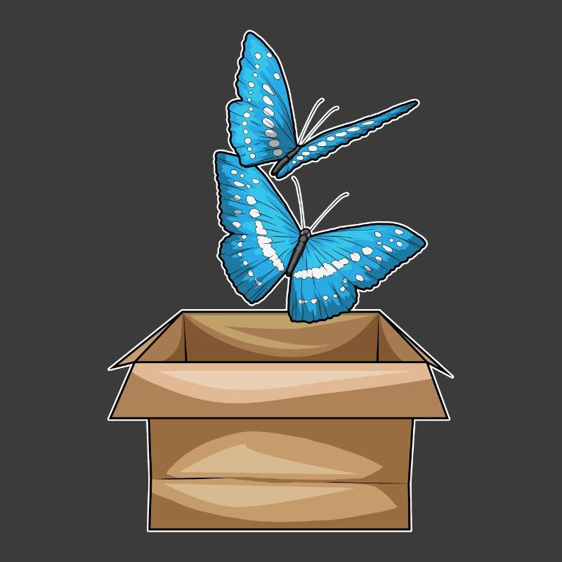 Schmetterling Karton
